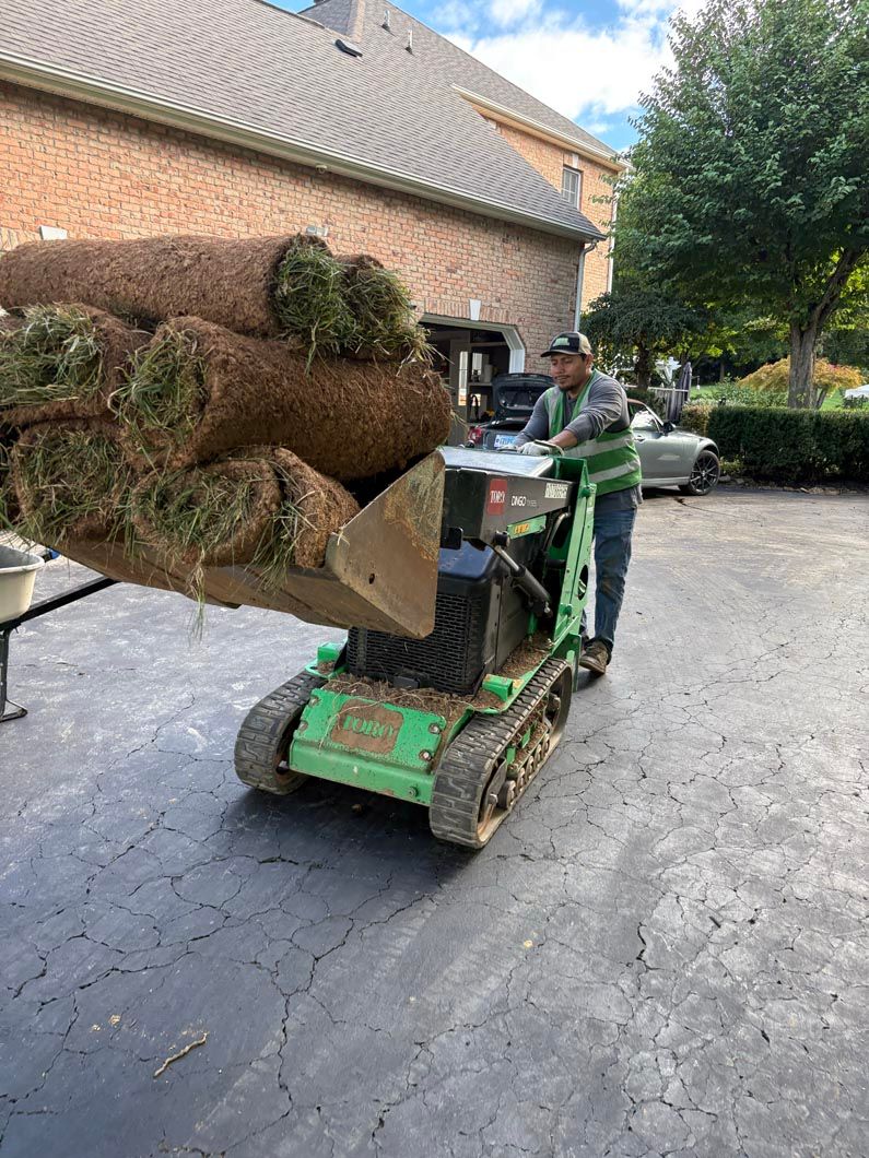 Worker drives a green skid-steer loader carrying a large shrub along a paved driveway beside a brick building