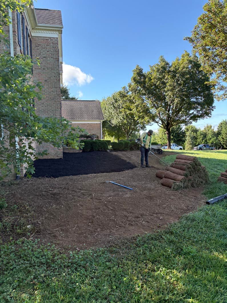 House and trees beside a mulched garden bed under a bright blue sky