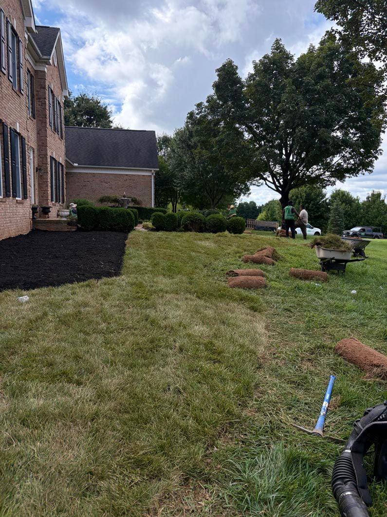 Brick house beside sloped lawn with newly planted shrubs and a large tree under cloudy sky