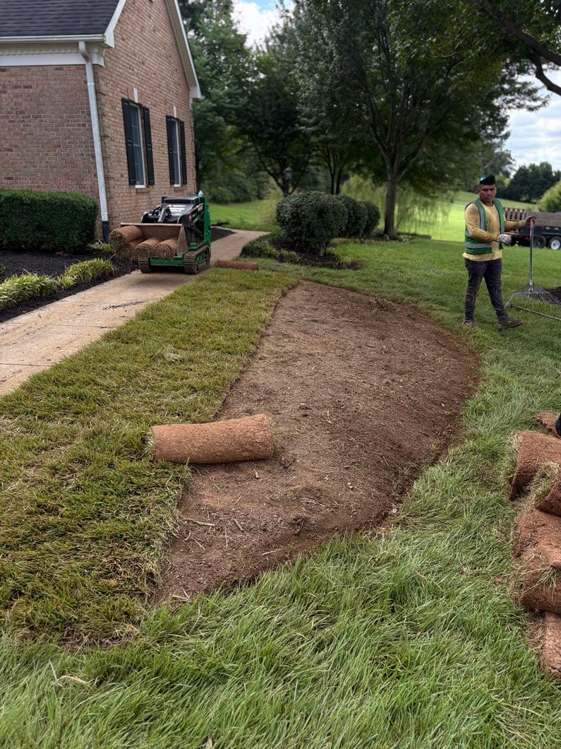 Freshly laid sod in a yard beside a brick house, with a worker standing nearby.