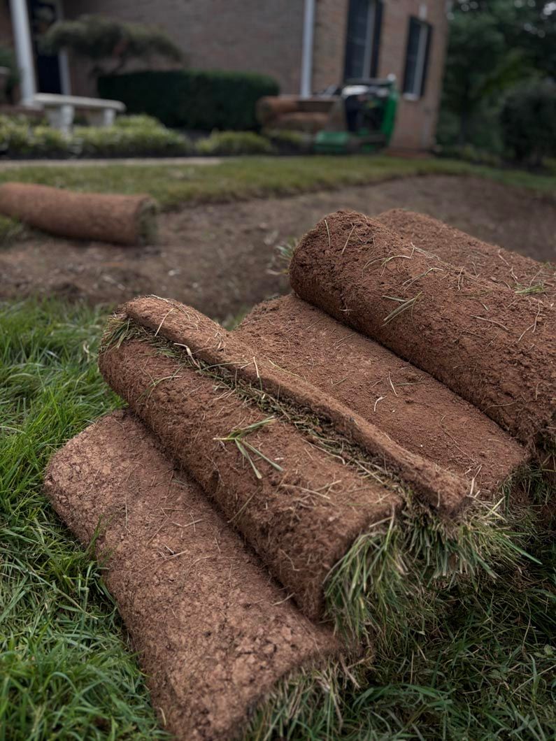 Rolled-up strips of brown sod stacked on grass in a yard, with a blurred house in the background