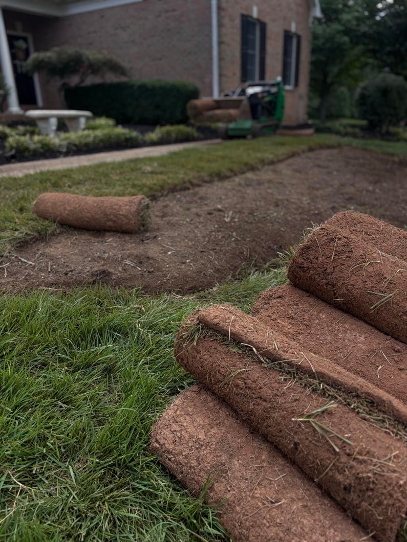 Rolled sod turf laid along a muddy yard beside a brick house and lawn care tools