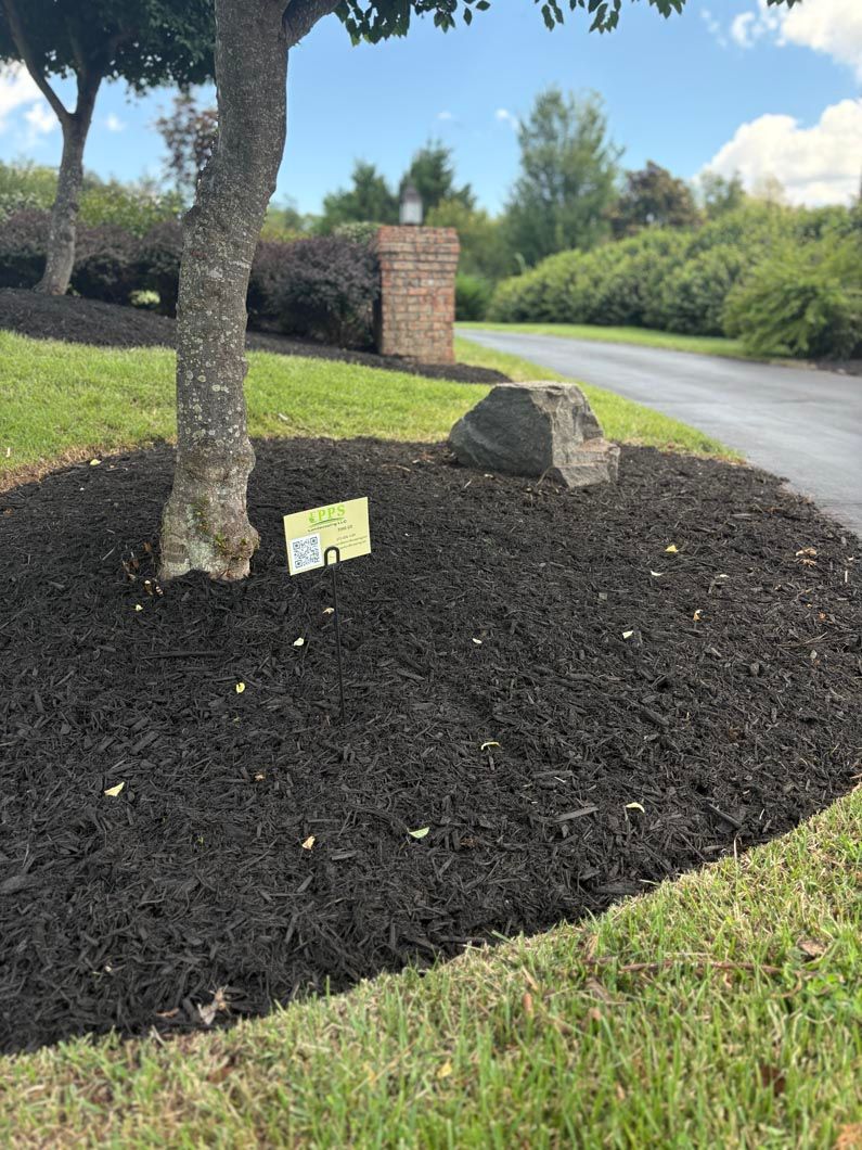 Mulched landscaping bed with a tree, rock, and small sign beside a curved road