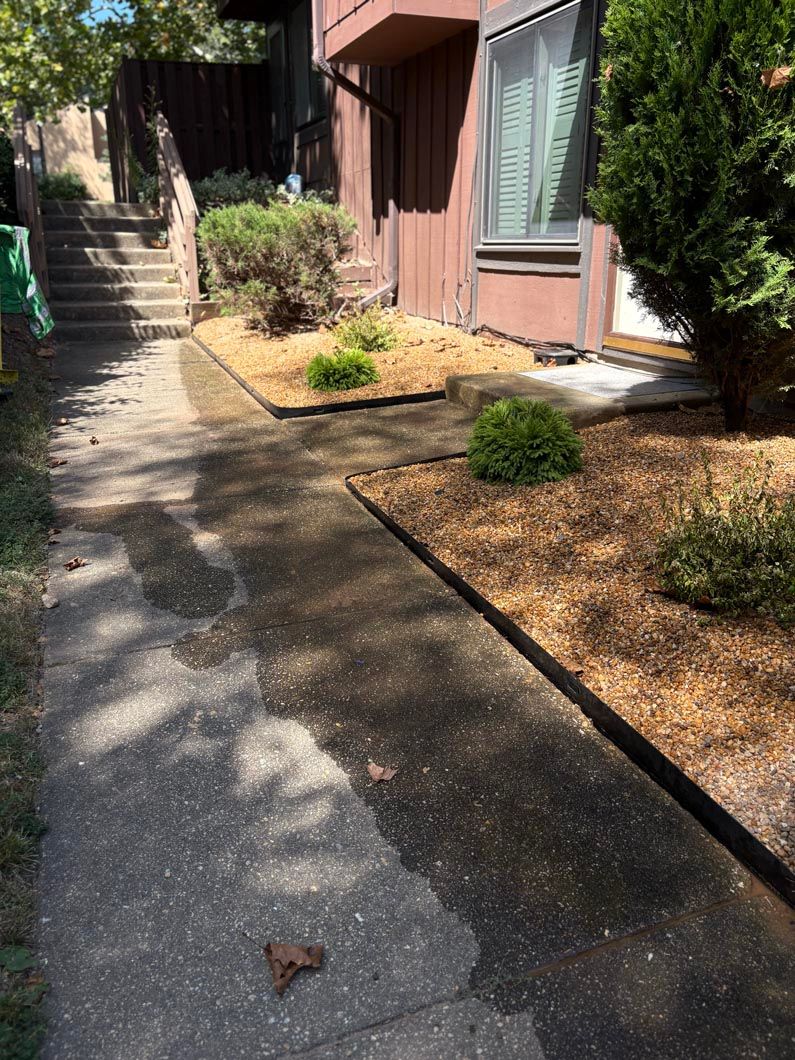Sunny apartment walkway with steps, brown building wall, and small landscaped shrubs alongside wet pavement