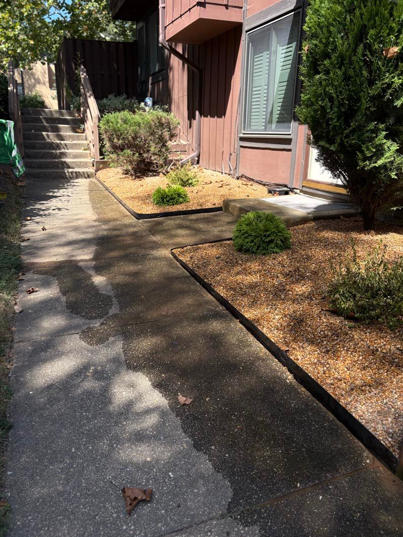Apartment walkway with steps, trees, and brown mulch beds beside a building entrance