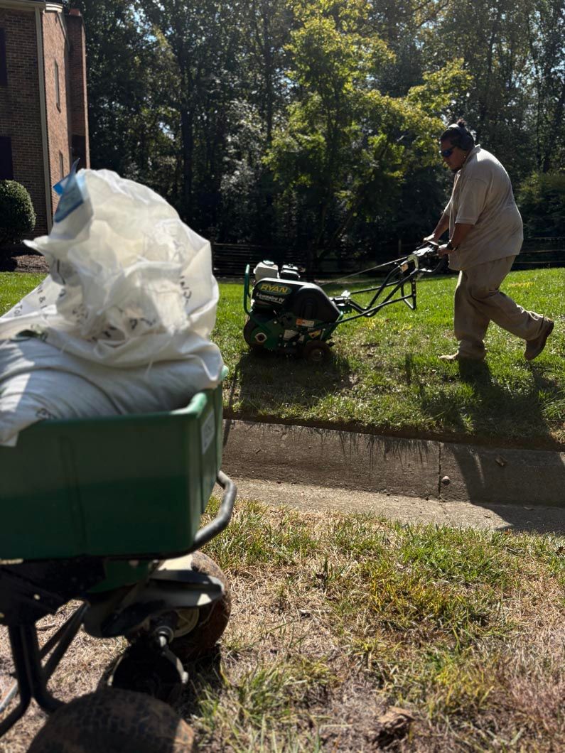 Person pushing a green cart on a sunny grassy path with trees in the background