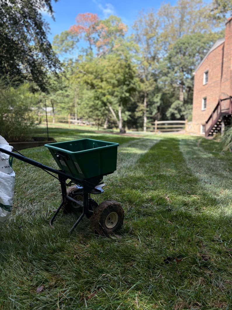 Green wheelbarrow on grass beside a brick building and trees in a sunny yard