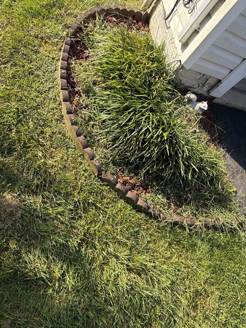 Curved garden bed with green plants beside a white house wall and grass lawn.