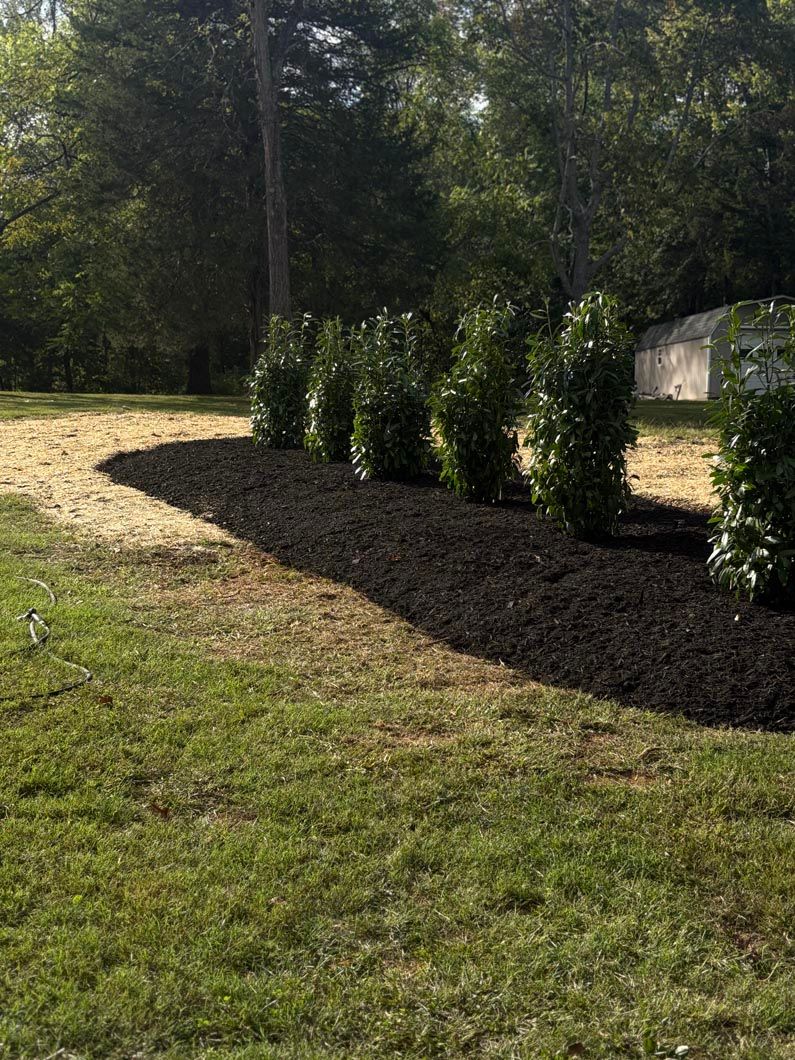 Sunlit garden path beside trimmed evergreen shrubs and a stone wall, with a grassy lawn in the foreground