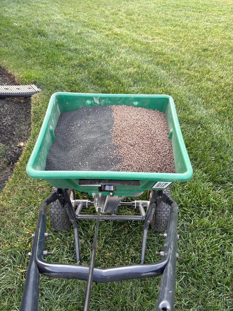 Green wheelbarrow filled with gravel and wood chips on grass near a garden path