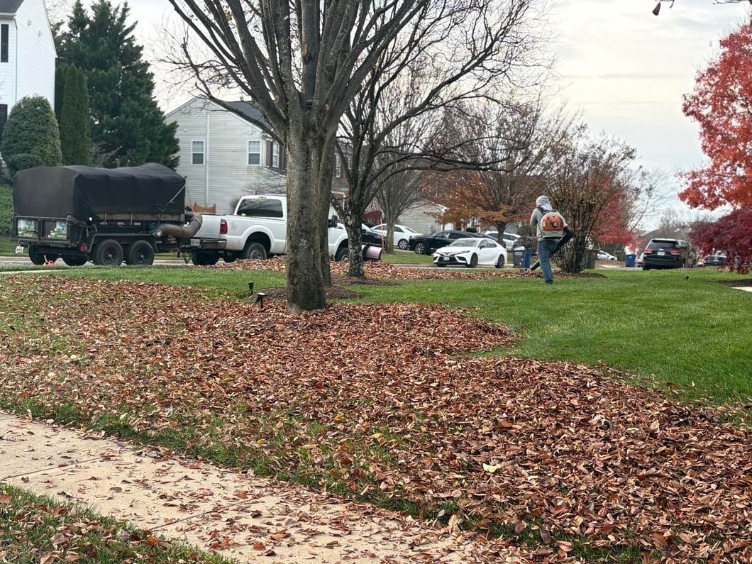 Suburban yard with leaf piles, a tree, parked trucks, and autumn trees in the background