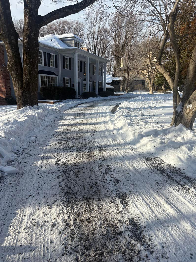 Snowy residential driveway lined with trees and a white house in winter sunlight