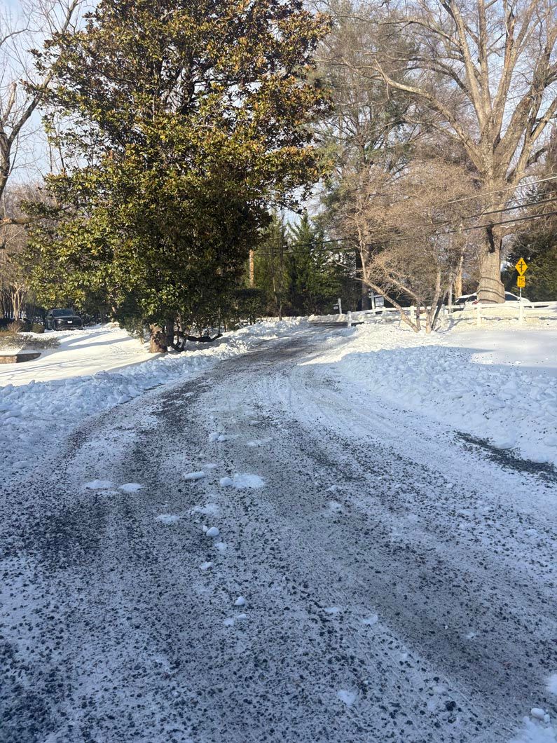Snow-covered rural road with tire tracks, lined by bare trees on a sunny winter day
