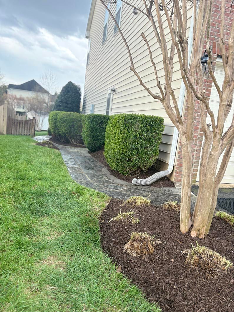 Backyard side yard with green lawn, trimmed shrubs, a tree, and a narrow stone path beside a house