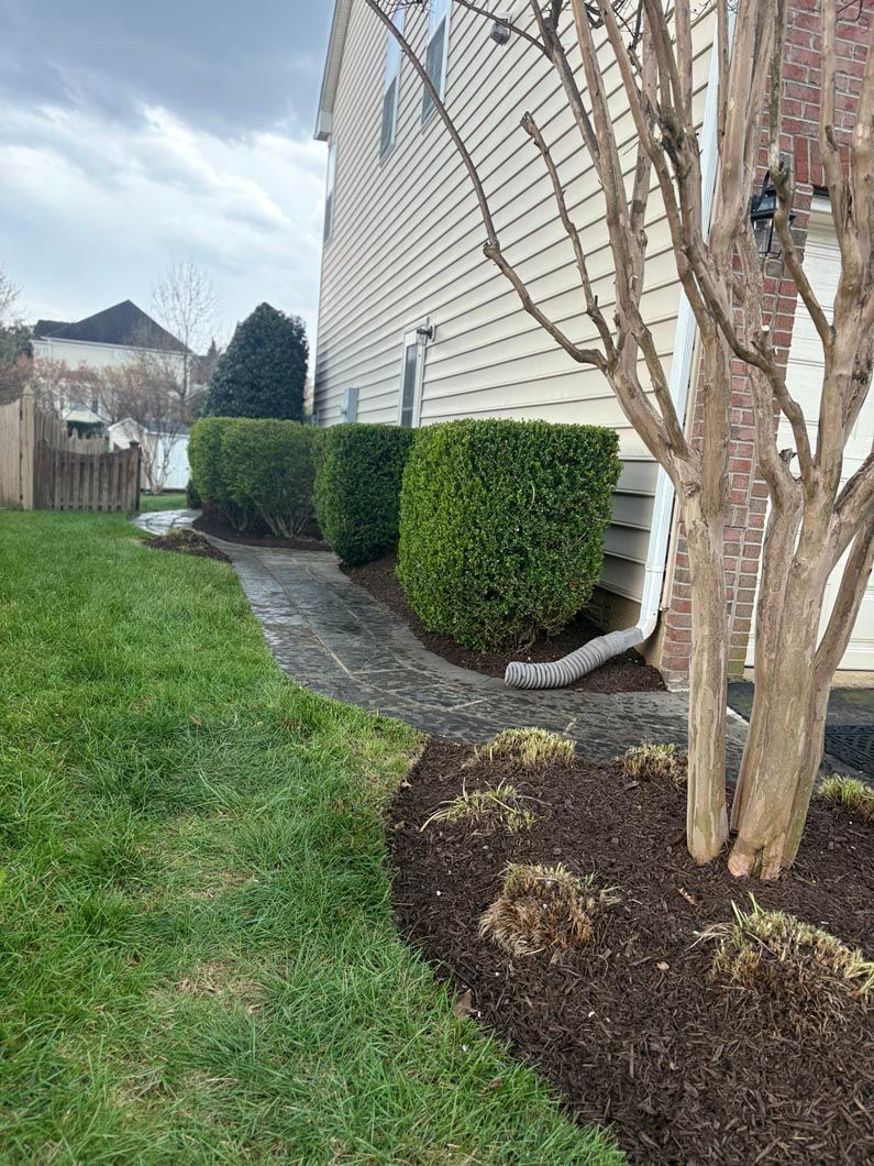 Side yard with grass, mulched shrubs, a tree, and a stone path beside a beige house.