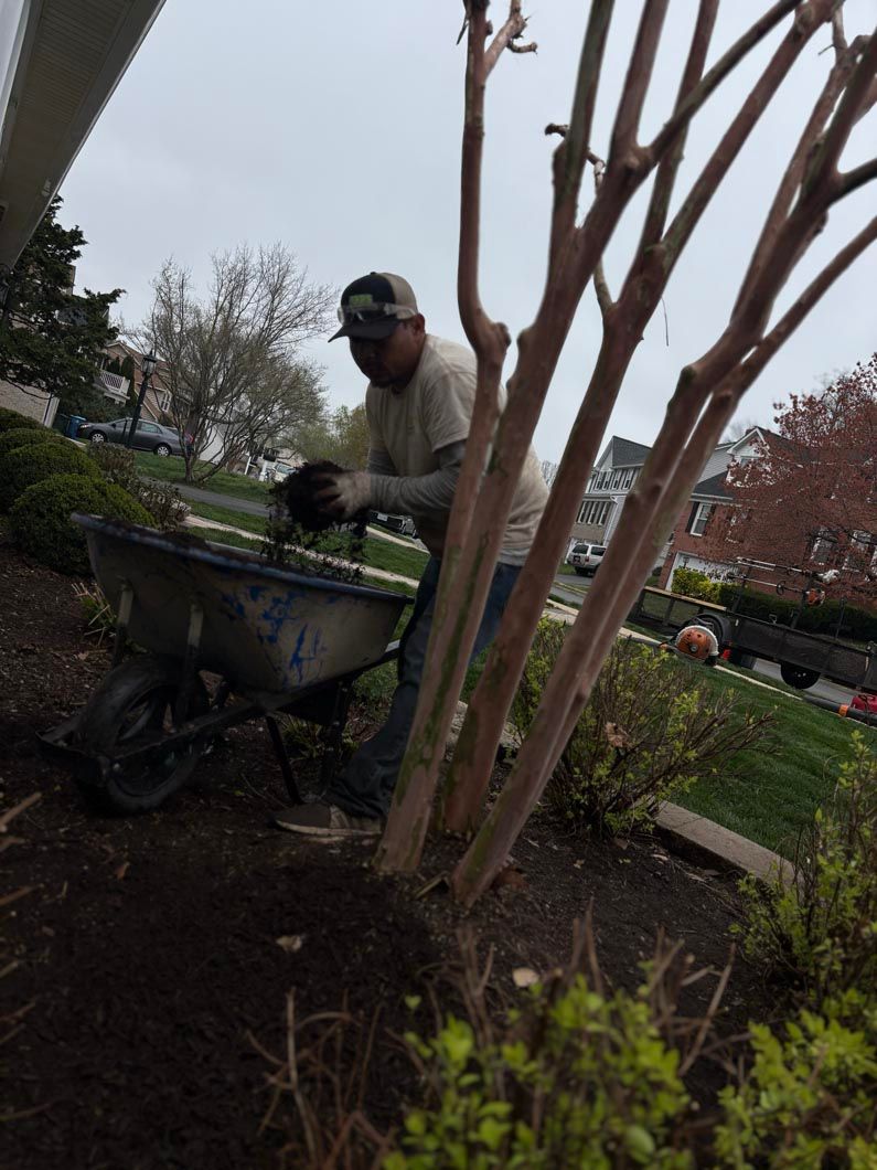 Person in a cap working beside a wheelbarrow in a garden with trimmed trees and shrubs.