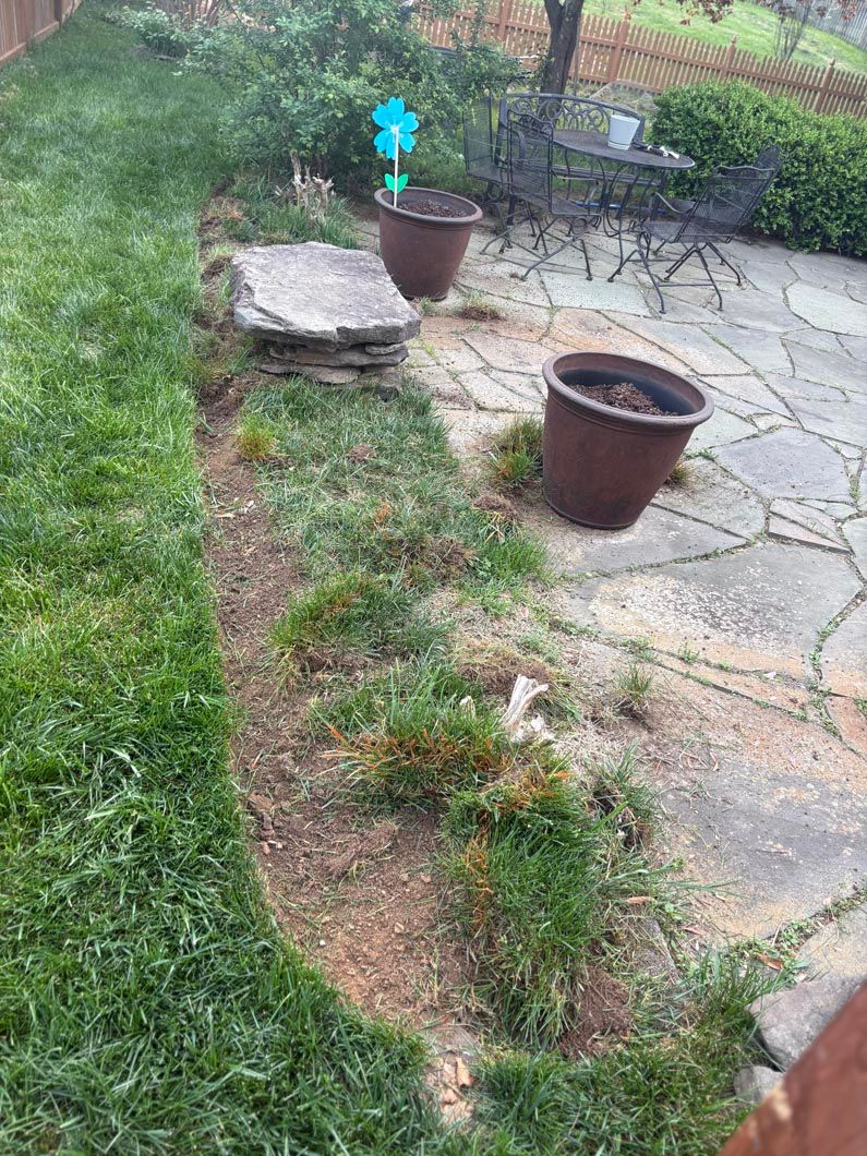 Backyard patio with potted plants, stone slabs, and a grassy border alongside a flower bed