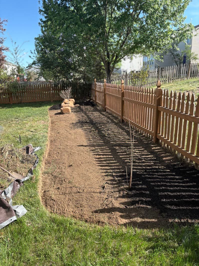 Backyard path beside a wooden fence, with a large tree casting long shadows on dry grass.