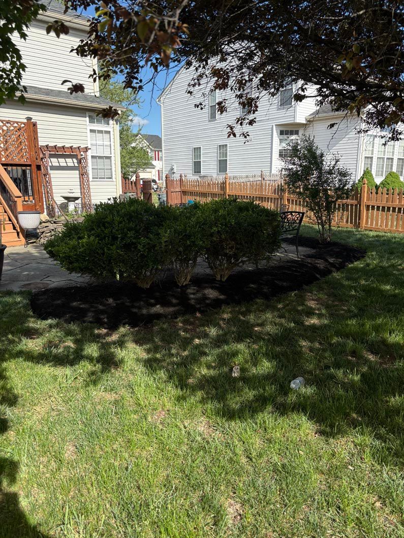 Backyard garden bed with shrubs and a small tree beside a white house, shaded by overhead branches.