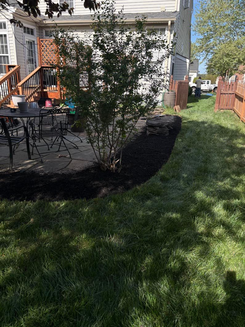 Backyard patio with outdoor chairs, a small tree, and a grassy lawn beside a house