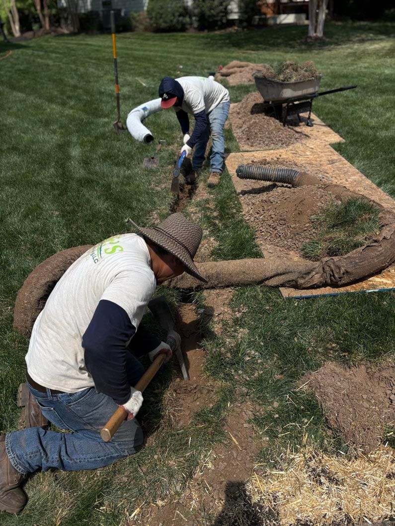 Two workers installing a curved stone garden path in a grassy yard.