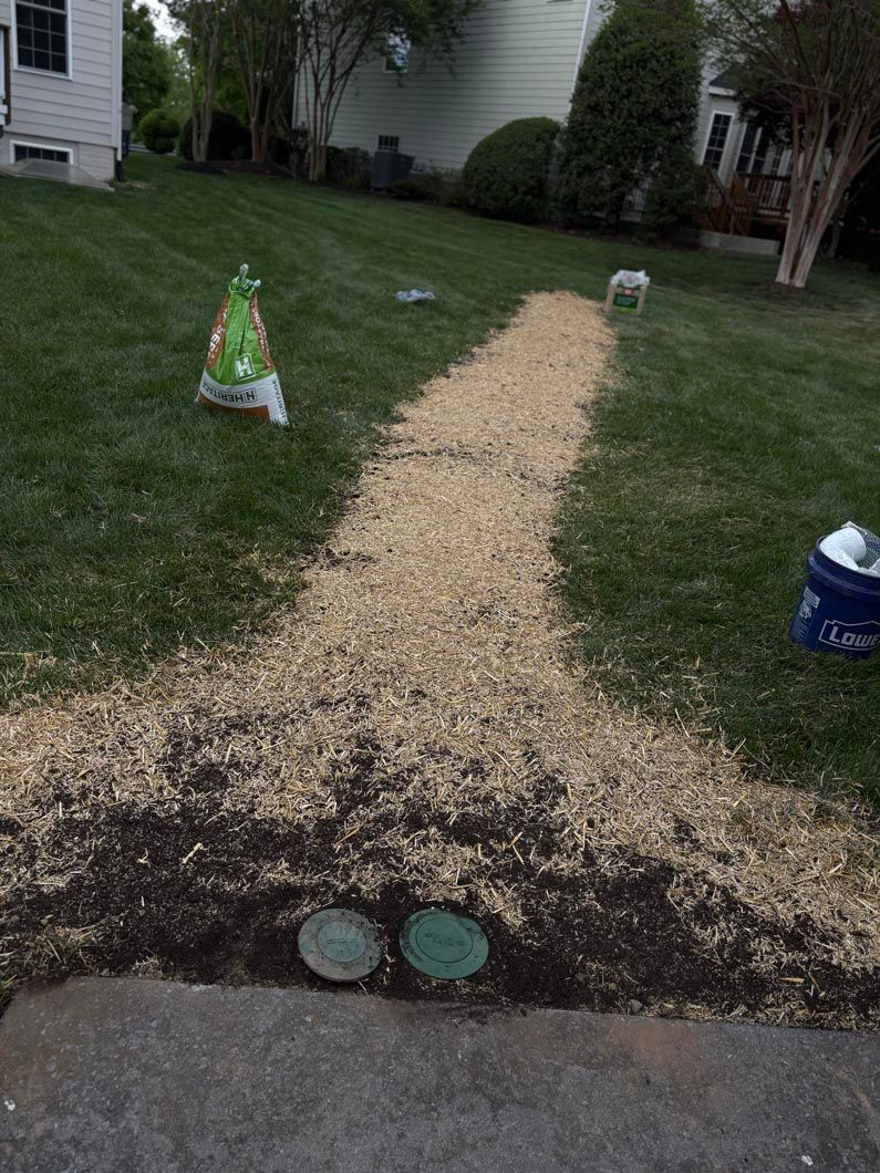 Mulch path through a lawn toward a house, with green and blue yard bags on either side.