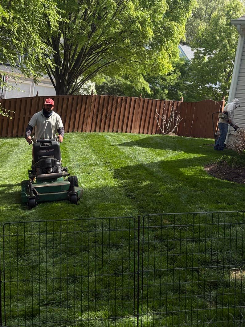 Person mowing a grassy backyard with a push mower beside a wooden fence and trees.