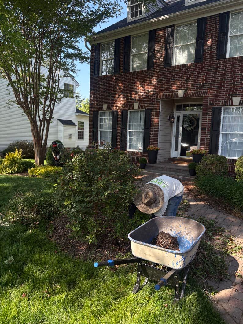 Brick house front yard with a wheelbarrow and garden soil beside the walkway.