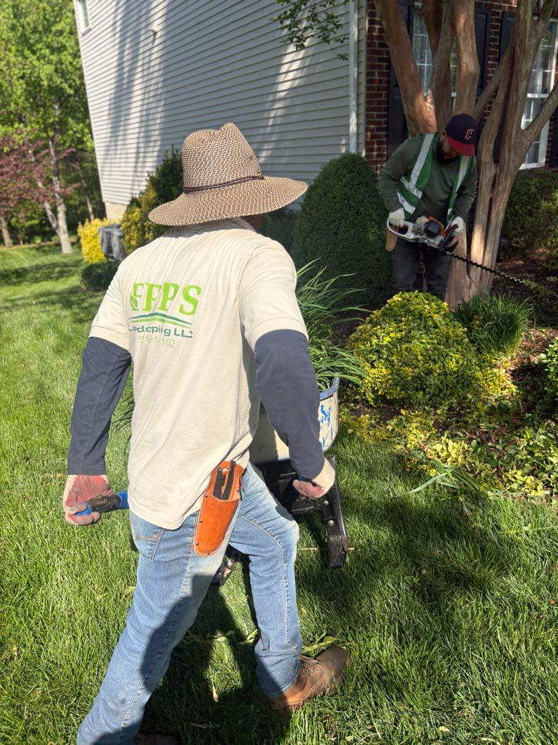 Two workers trimming shrubs beside a building on a sunny lawn