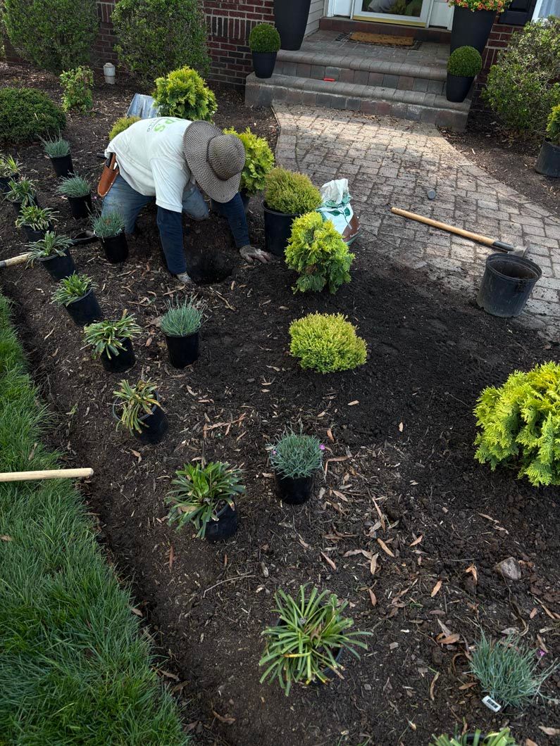 Gardener planting shrubs in a mulch bed beside a walkway and stone steps