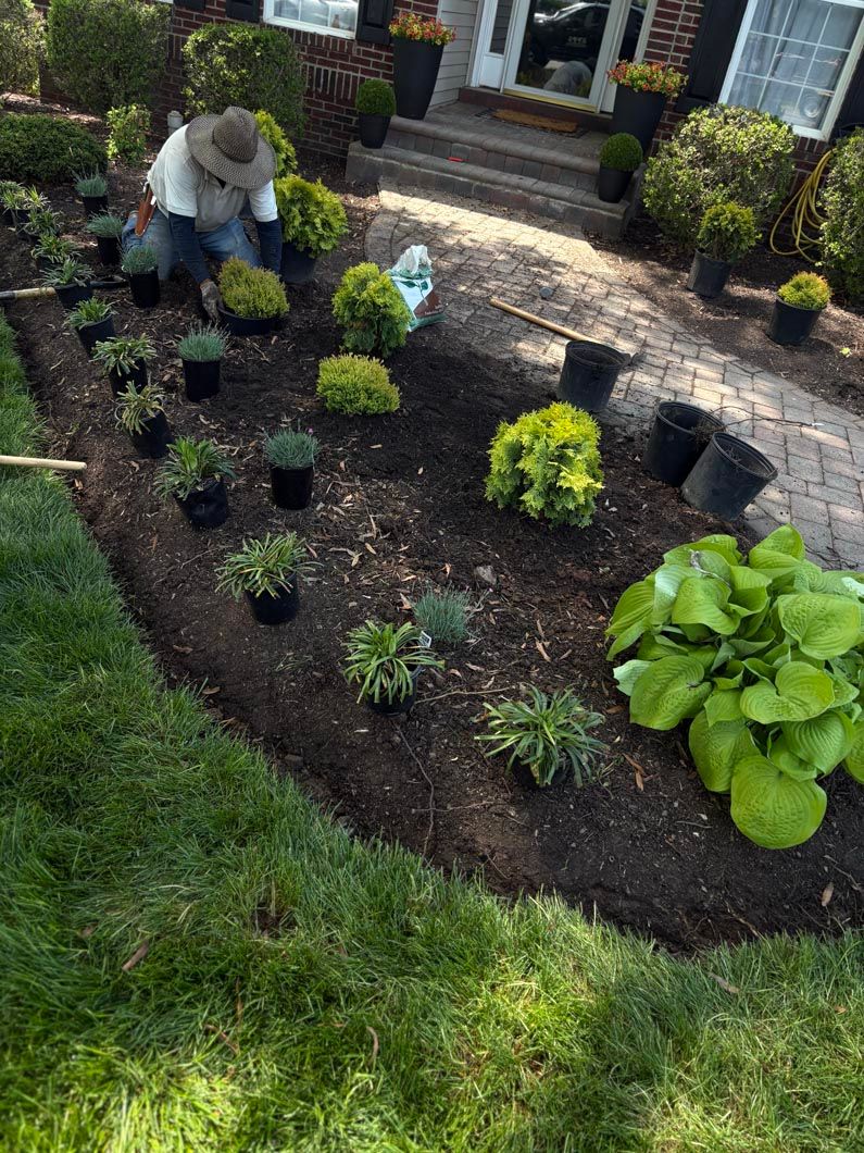 Person gardening in a front yard flower bed with small shrubs and green plants near a house entrance