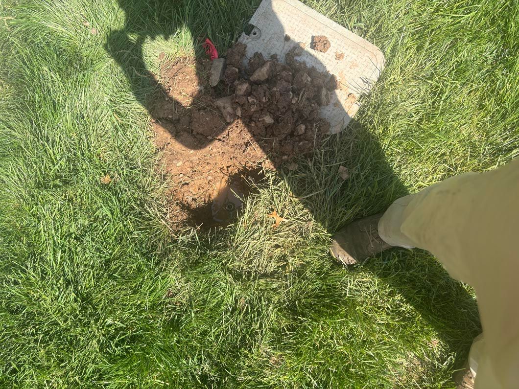 Person planting a small tree in a grassy yard, with a shovel and a mound of soil.
