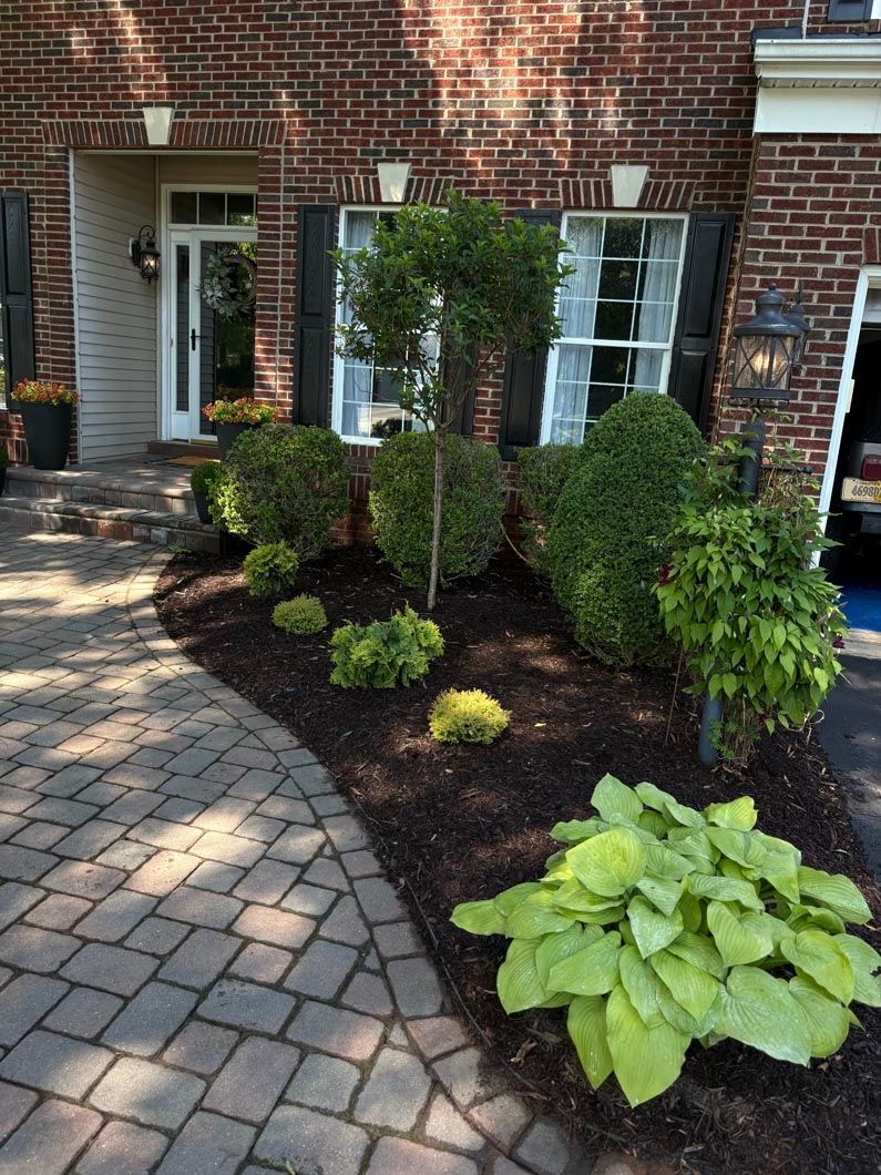 Front yard garden with trimmed shrubs, hostas, and a brick walkway beside a brick house