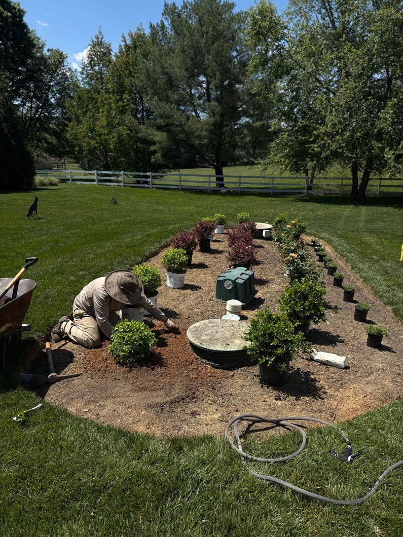 Mulched garden bed with small shrubs and rocks in a sunny grassy yard