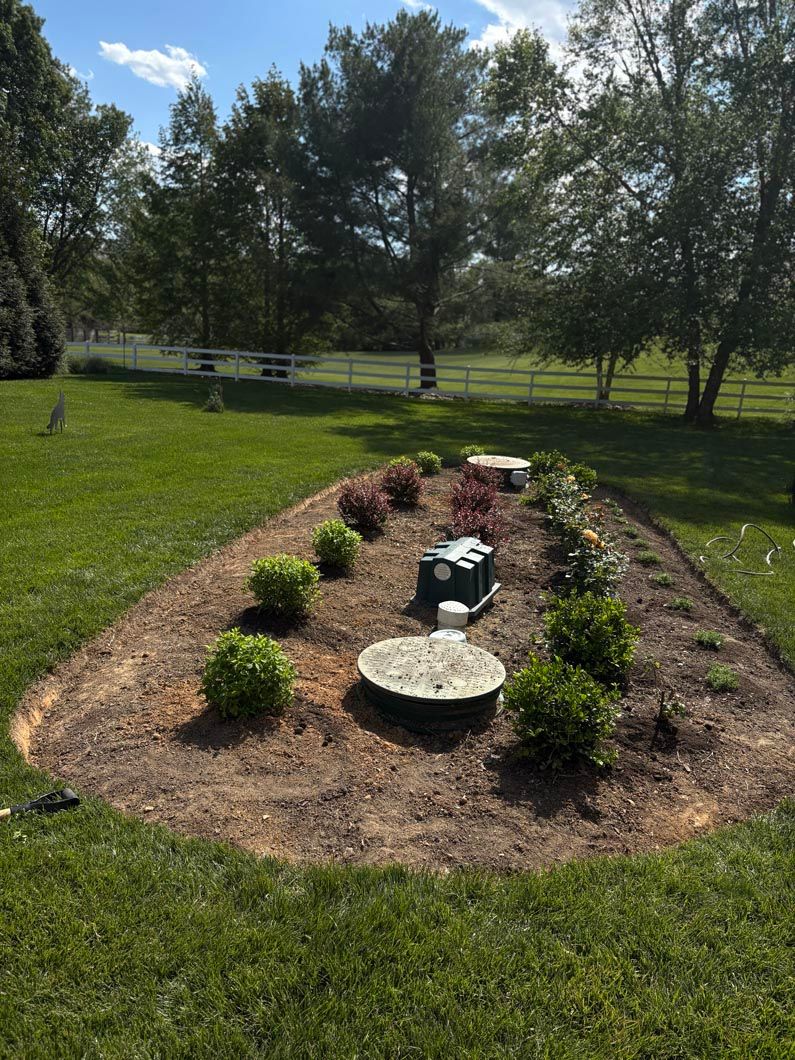 Mulched garden bed with small shrubs and a birdbath in a grassy park under trees