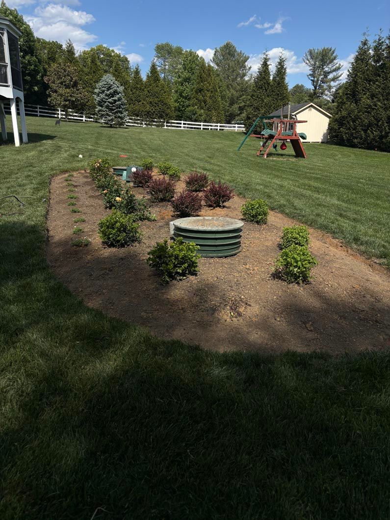 Raised garden bed with young plants in a grassy yard, with trees and a swing set in the background
