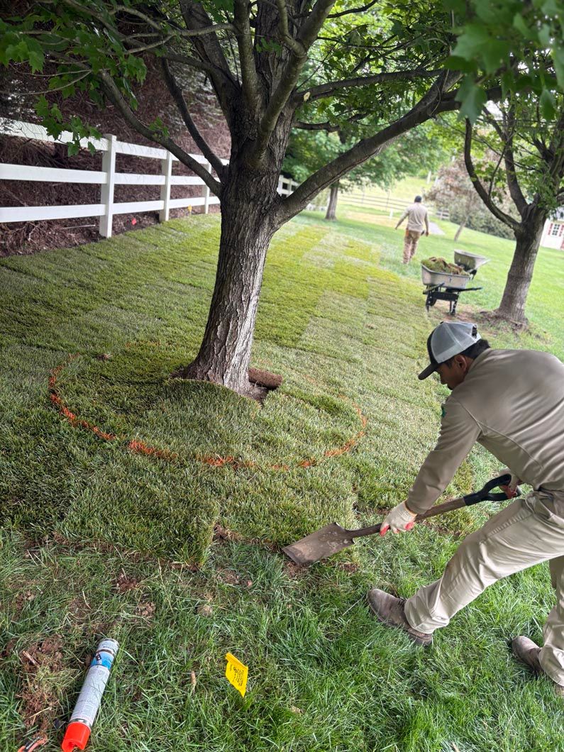 Worker using a string trimmer on a grassy hillside near a tree and white fence