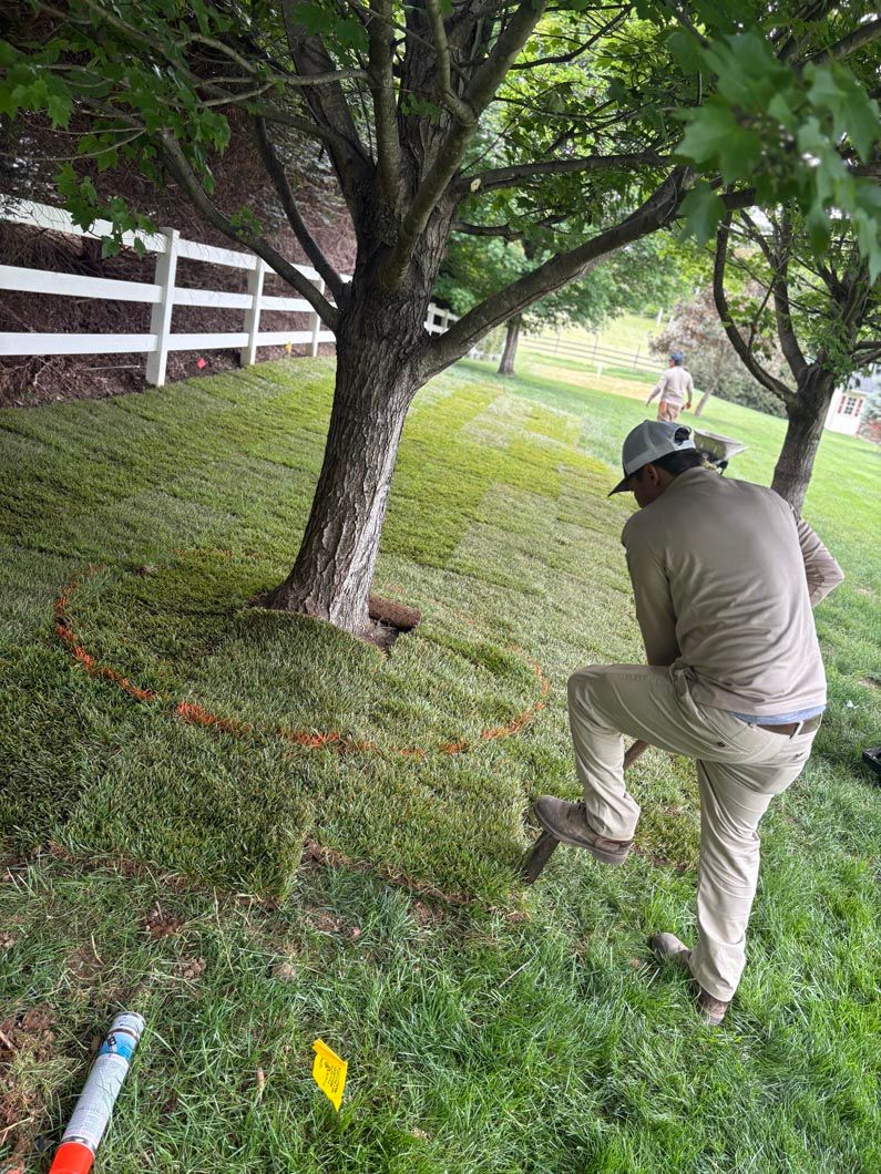 Person working on a grassy slope near trees and a white fence, bending over with a tool or trimmer.
