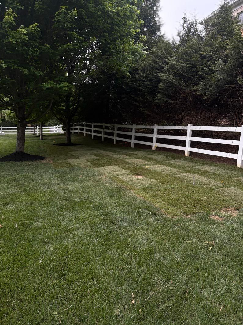 Grassy yard with white fence and trees in a wooded area