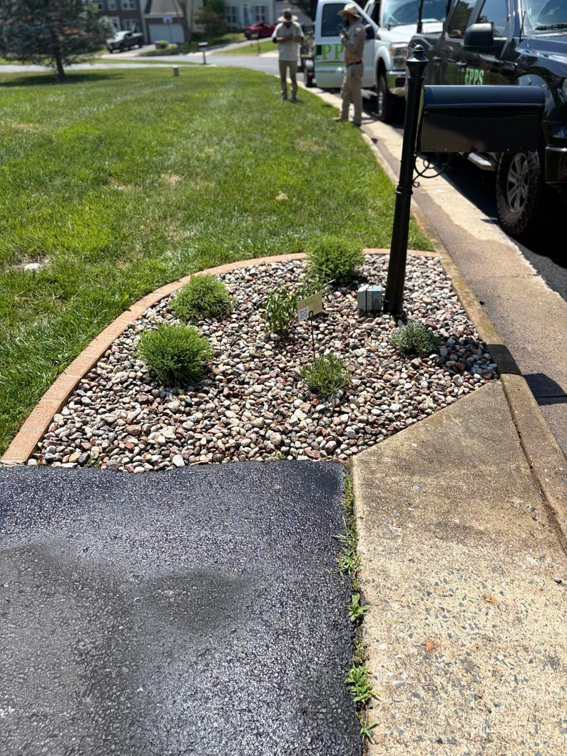 Sidewalk curve with mulch bed, small shrubs, and a black post beside parked vehicles on a sunny street.