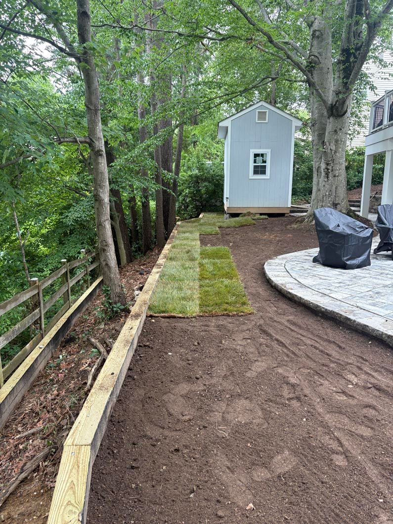 Backyard pathway with fresh soil, stone patio, and a small gray shed among trees