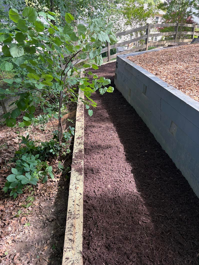 Garden bed with mulch, a small tree, and a raised planter beside a walkway
