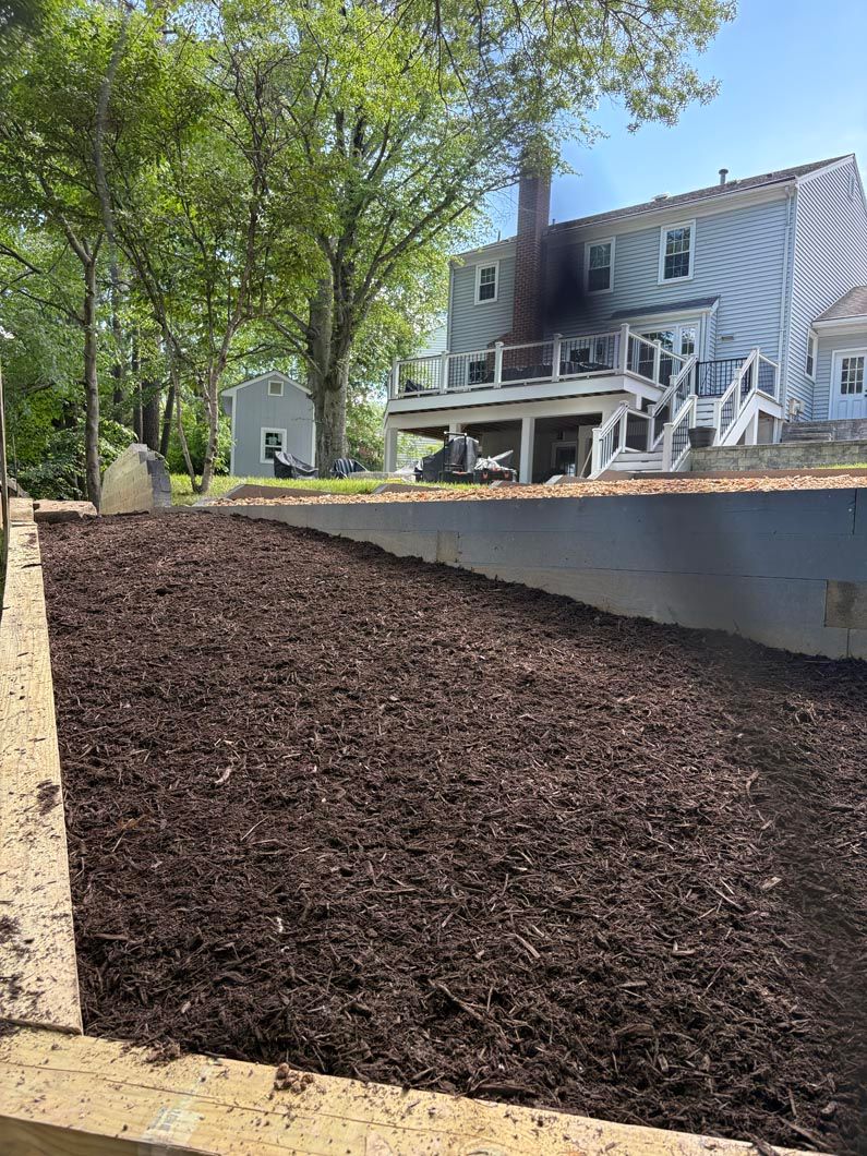 Mulched slope in a backyard beside a two-story house and trees