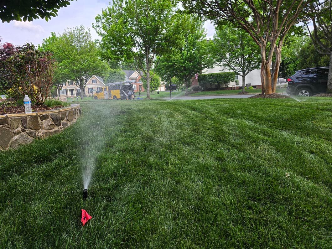Lawn sprinkler watering a green suburban yard with trees and houses in the background