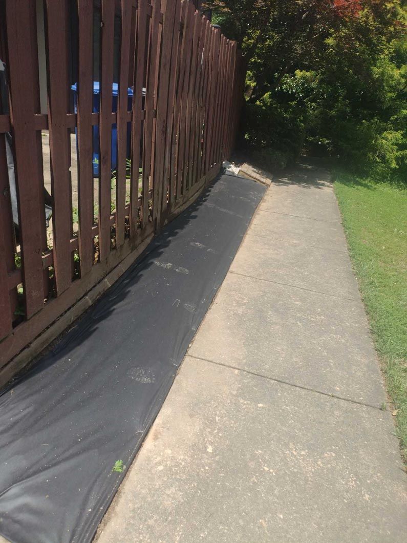 Sunlit concrete walkway beside a wooden fence and green grass