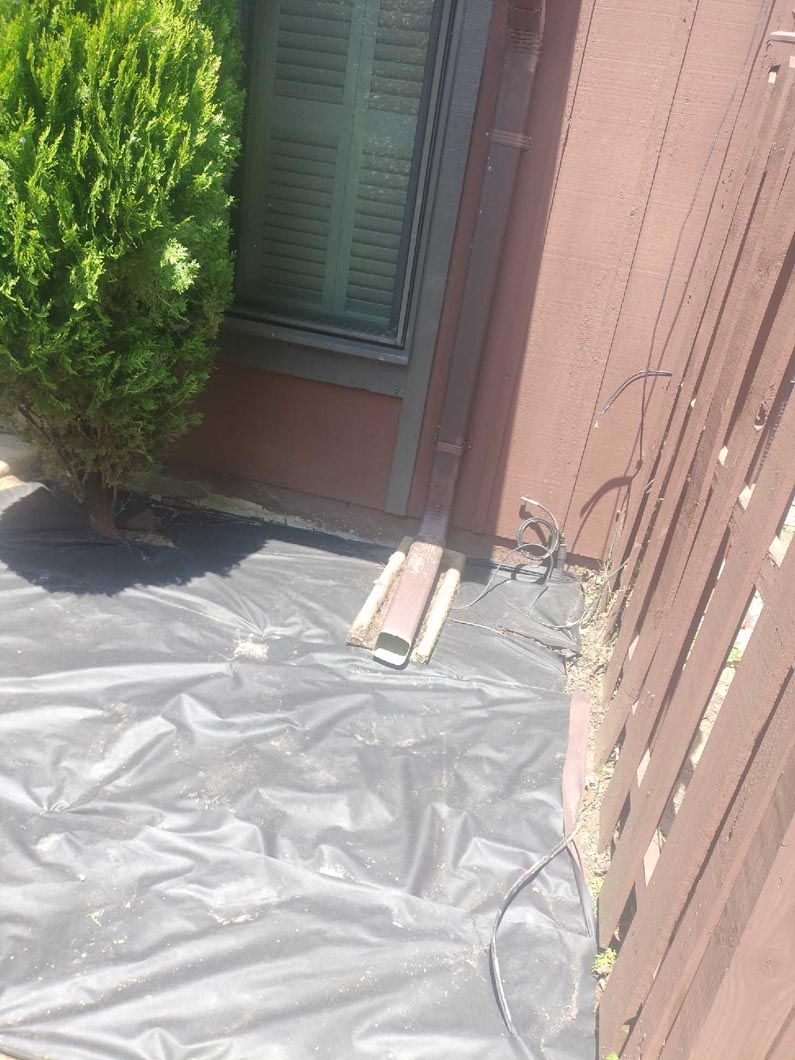 Backyard patio with black tarp, green shrub, and a pink wall with a doorway