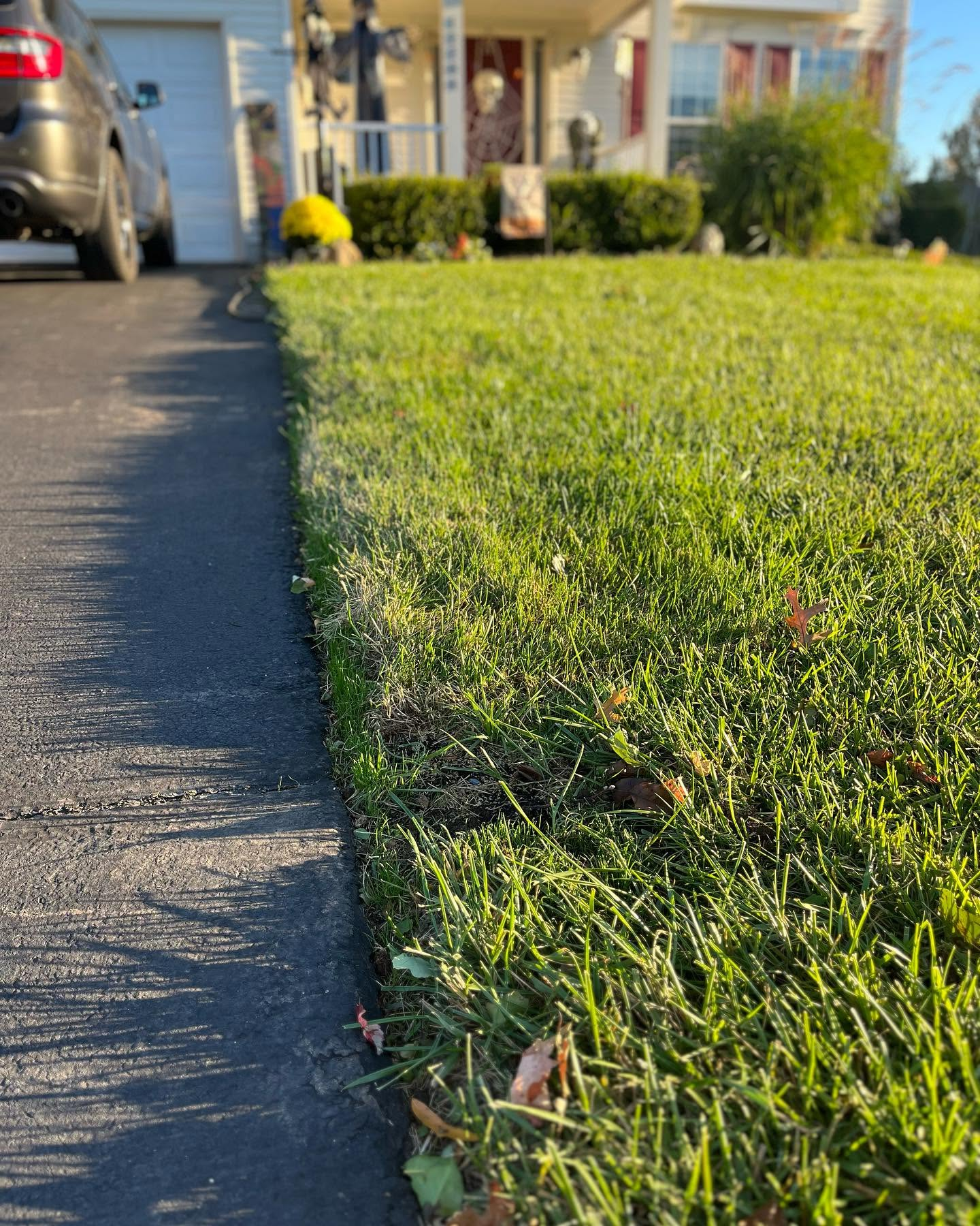 Suburban driveway beside a sunlit green lawn and bushes, with a house and parked car in the background