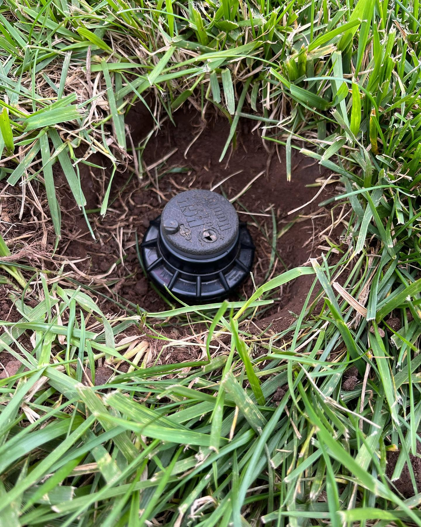 Black sprinkler head in a dirt patch surrounded by green grass
