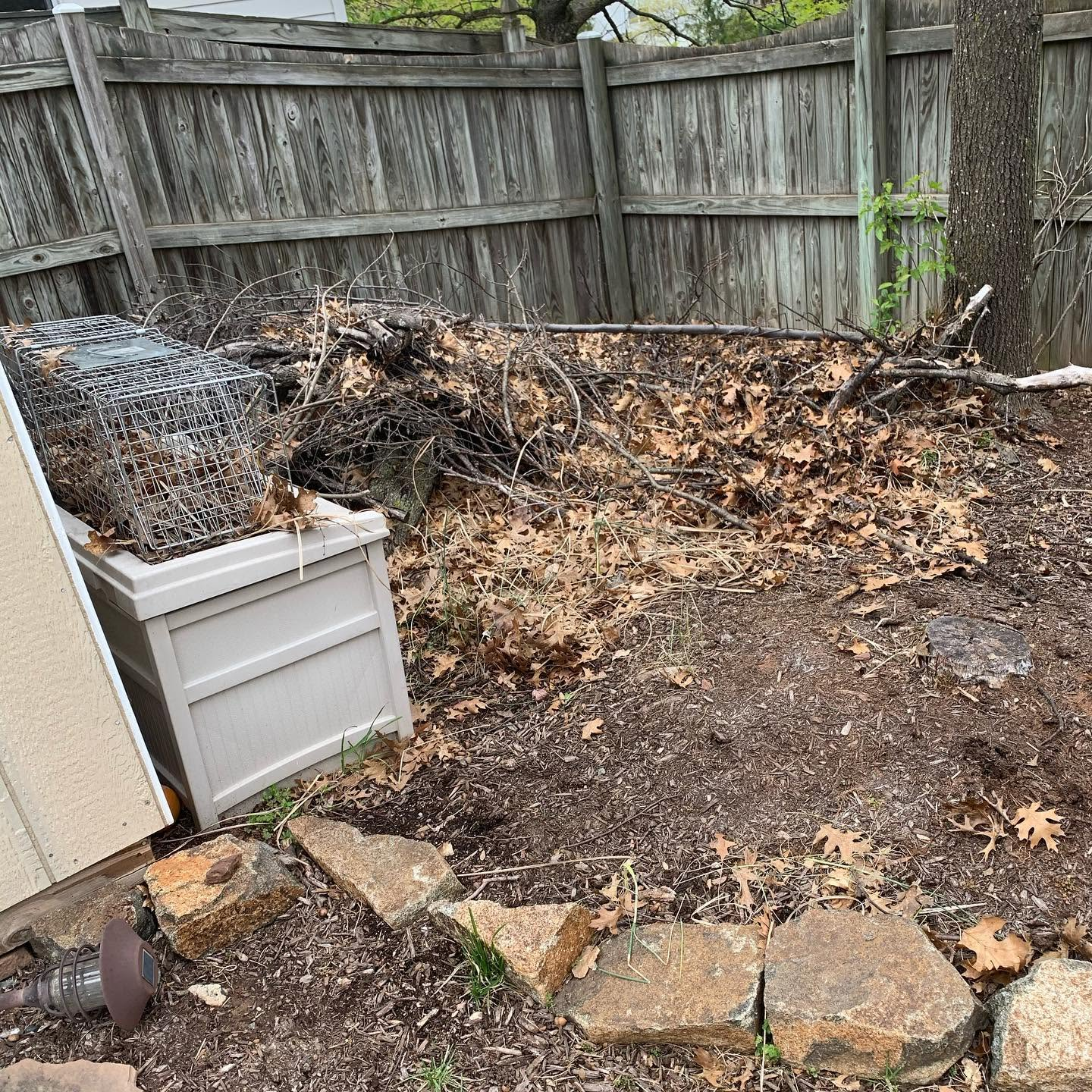 Backyard corner with a wood fence, leaf pile, stone border, and a white storage bin with wire mesh.