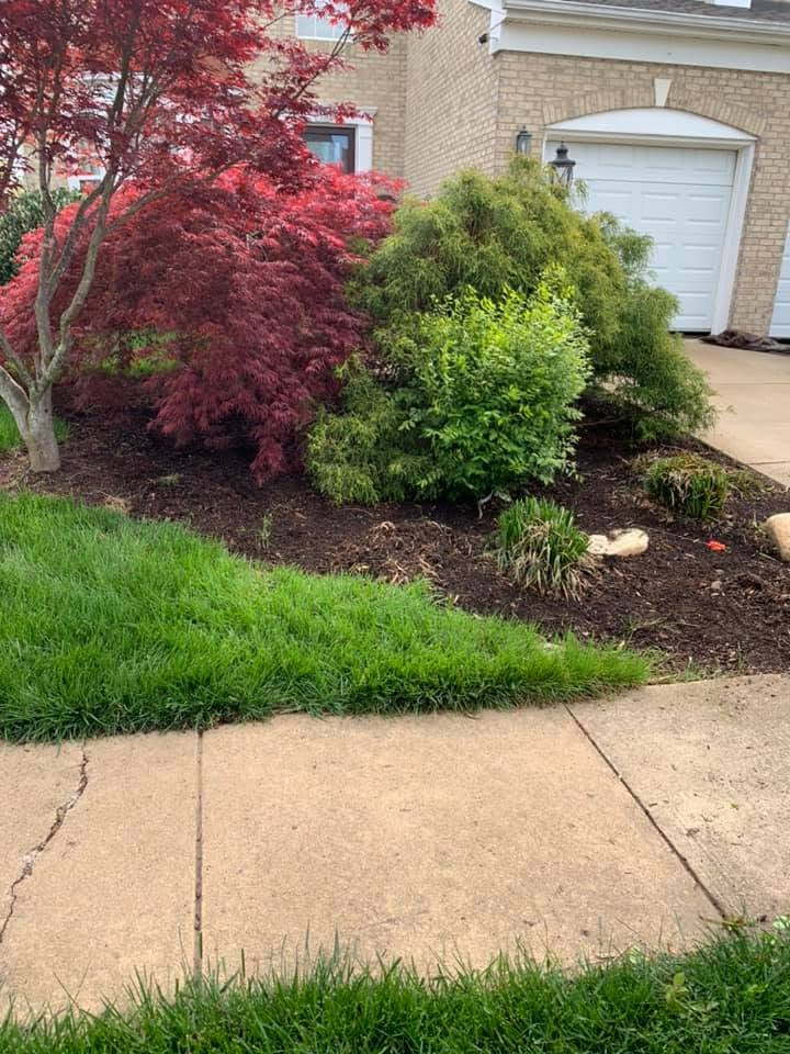 Front yard landscaping with red and green shrubs beside a concrete driveway and garage.